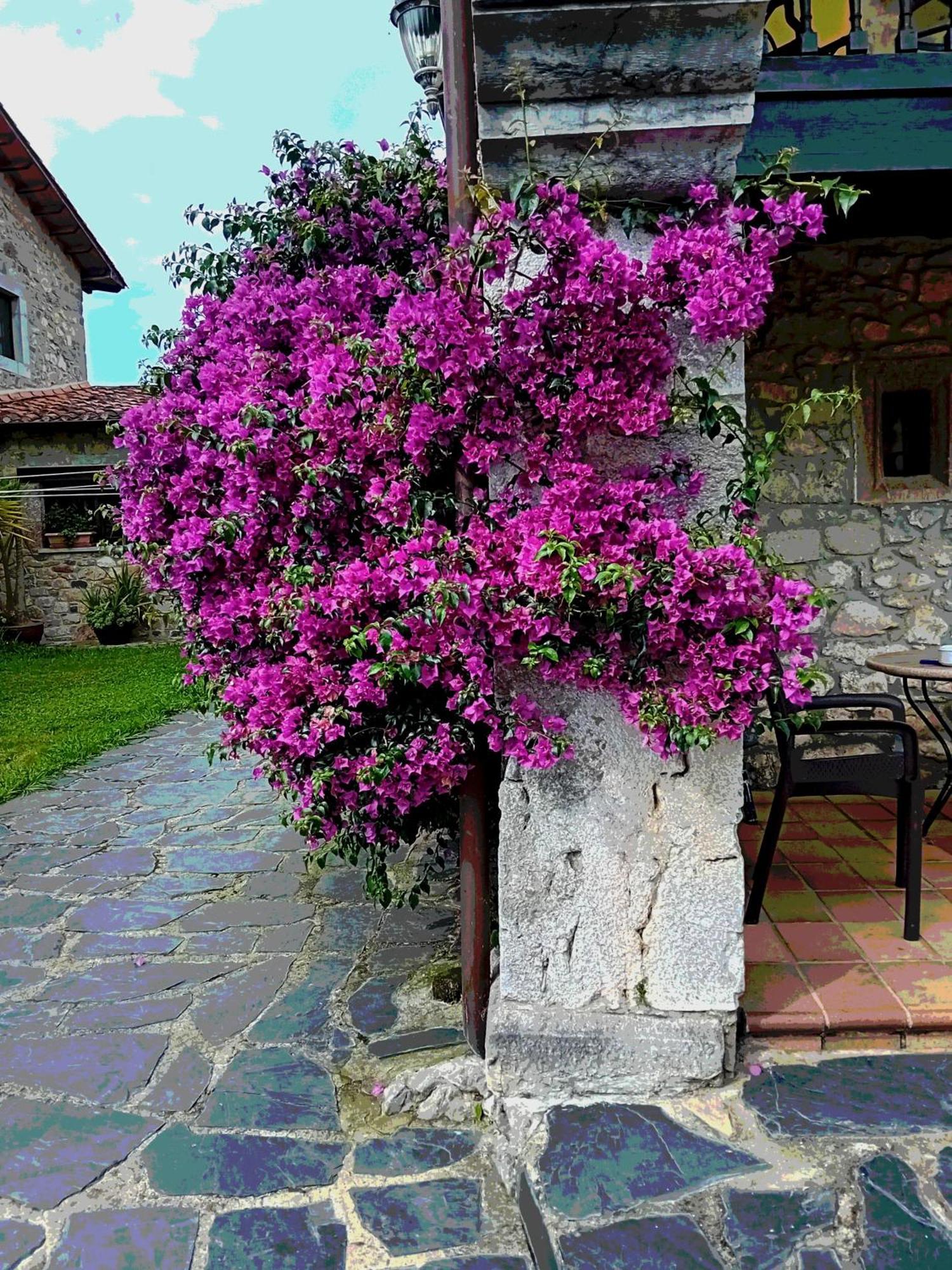 Gran Pedroso De Llanes Villa Екстериор снимка